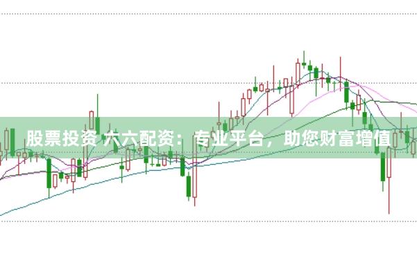 股票投资 六六配资：专业平台，助您财富增值